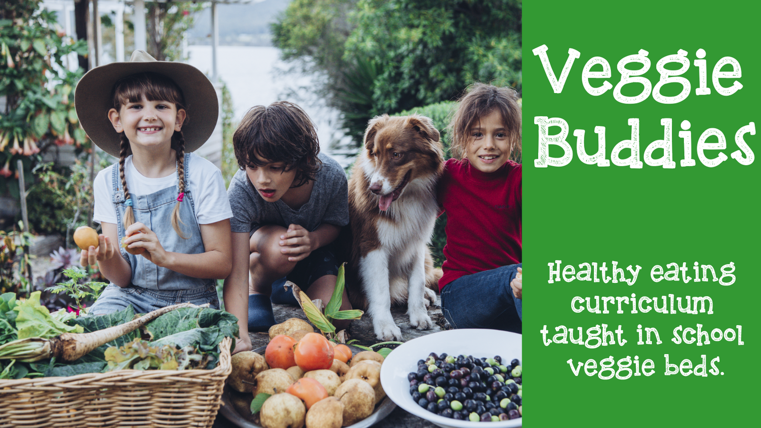 Veggie Buddies 10 week veggie gardening and healthy eating curriculum.